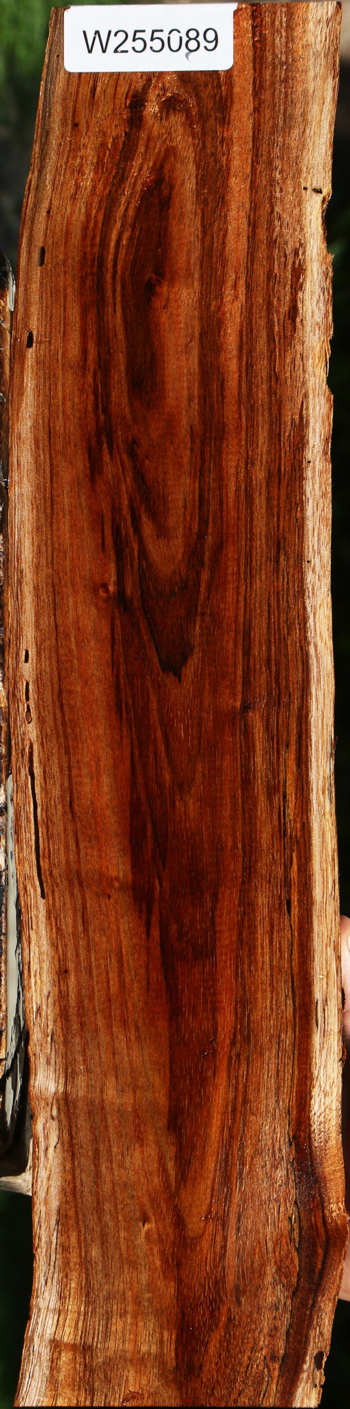 Rustic Hawaiian Koa Live Edge Lumber