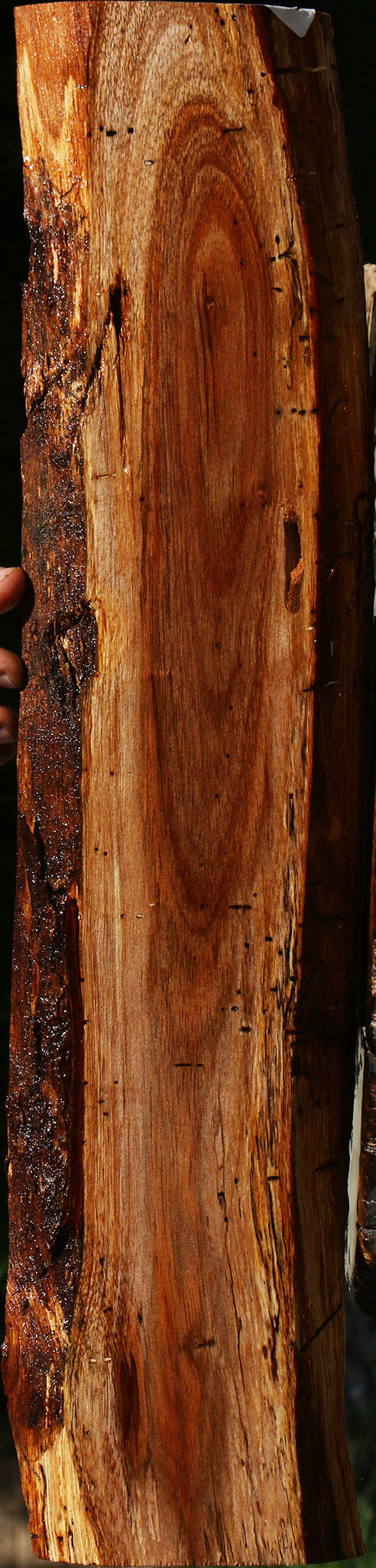 Rustic Hawaiian Koa Live Edge Lumber