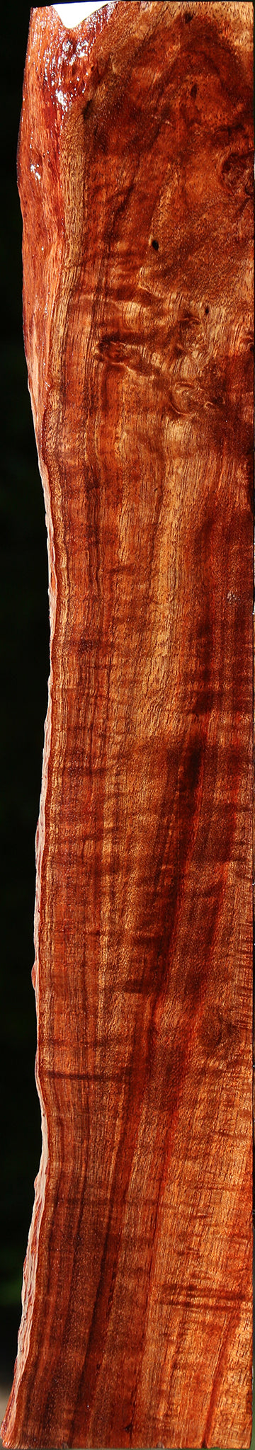 Extra Fancy Hawaiian Koa Live Edge Lumber