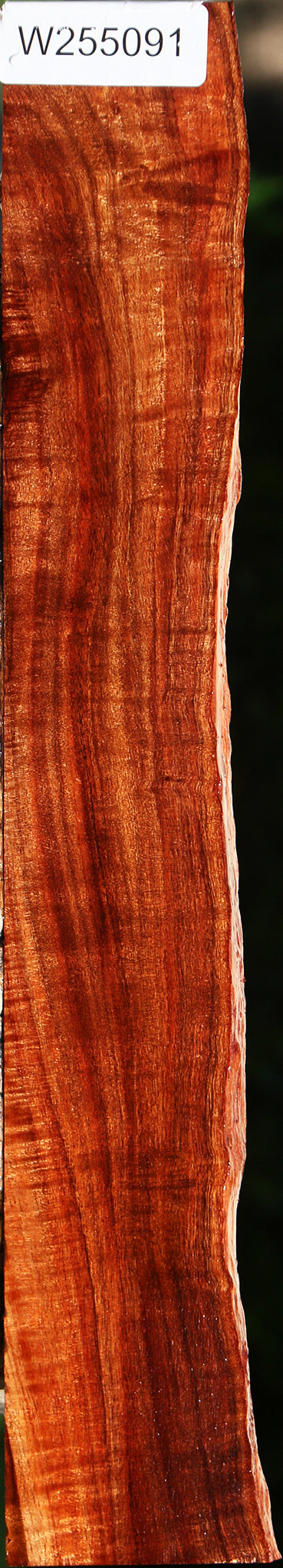 Extra Fancy Hawaiian Koa Live Edge Lumber