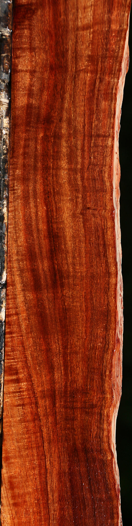 Extra Fancy Hawaiian Koa Live Edge Lumber
