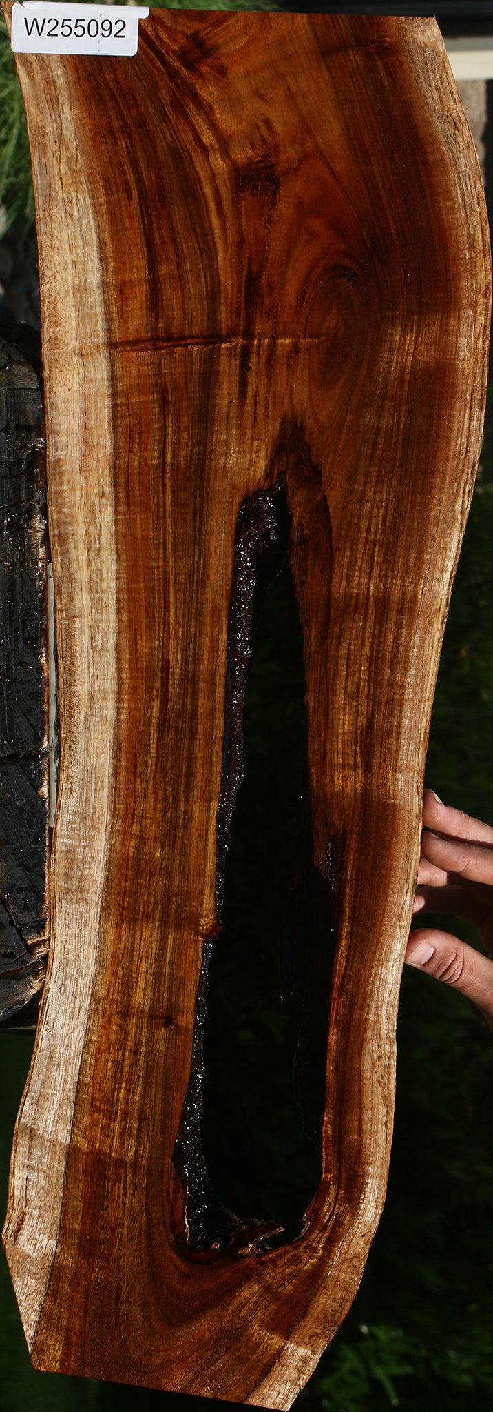 Extra Fancy Hawaiian Koa Live Edge Lumber