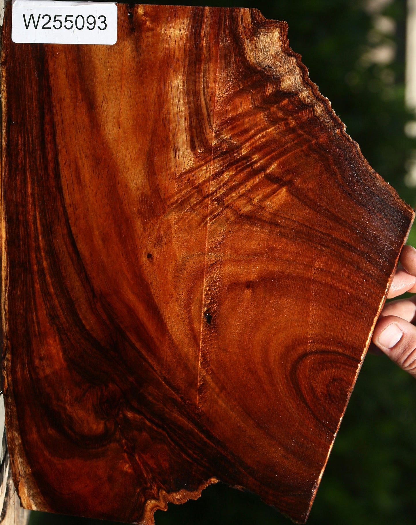 Extra Fancy Hawaiian Koa Live Edge Lumber