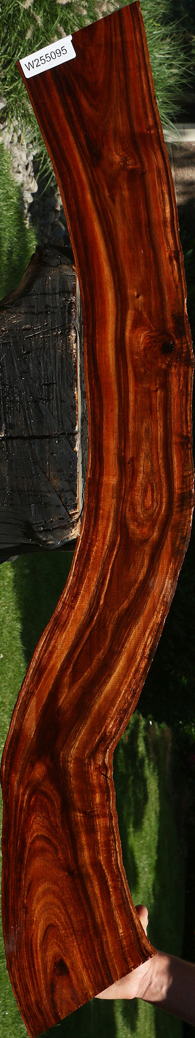 Figured Hawaiian Koa Live Edge Lumber