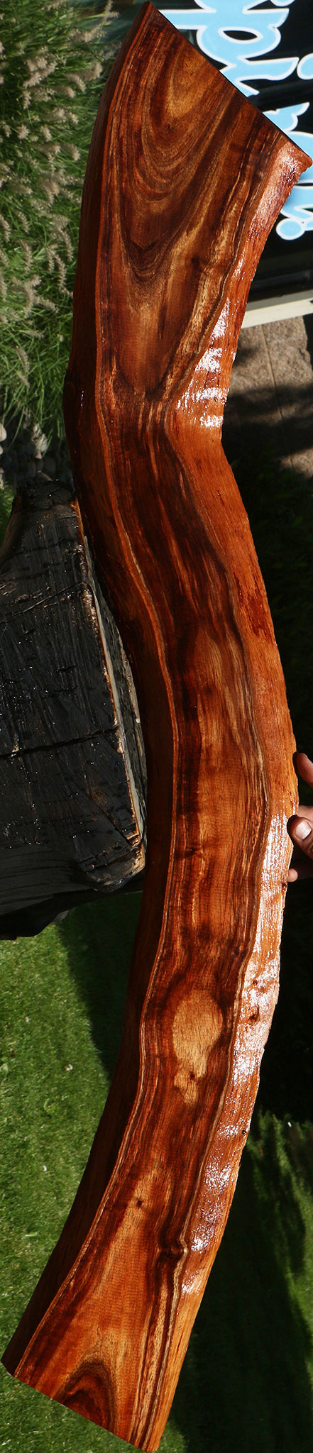 Figured Hawaiian Koa Live Edge Lumber