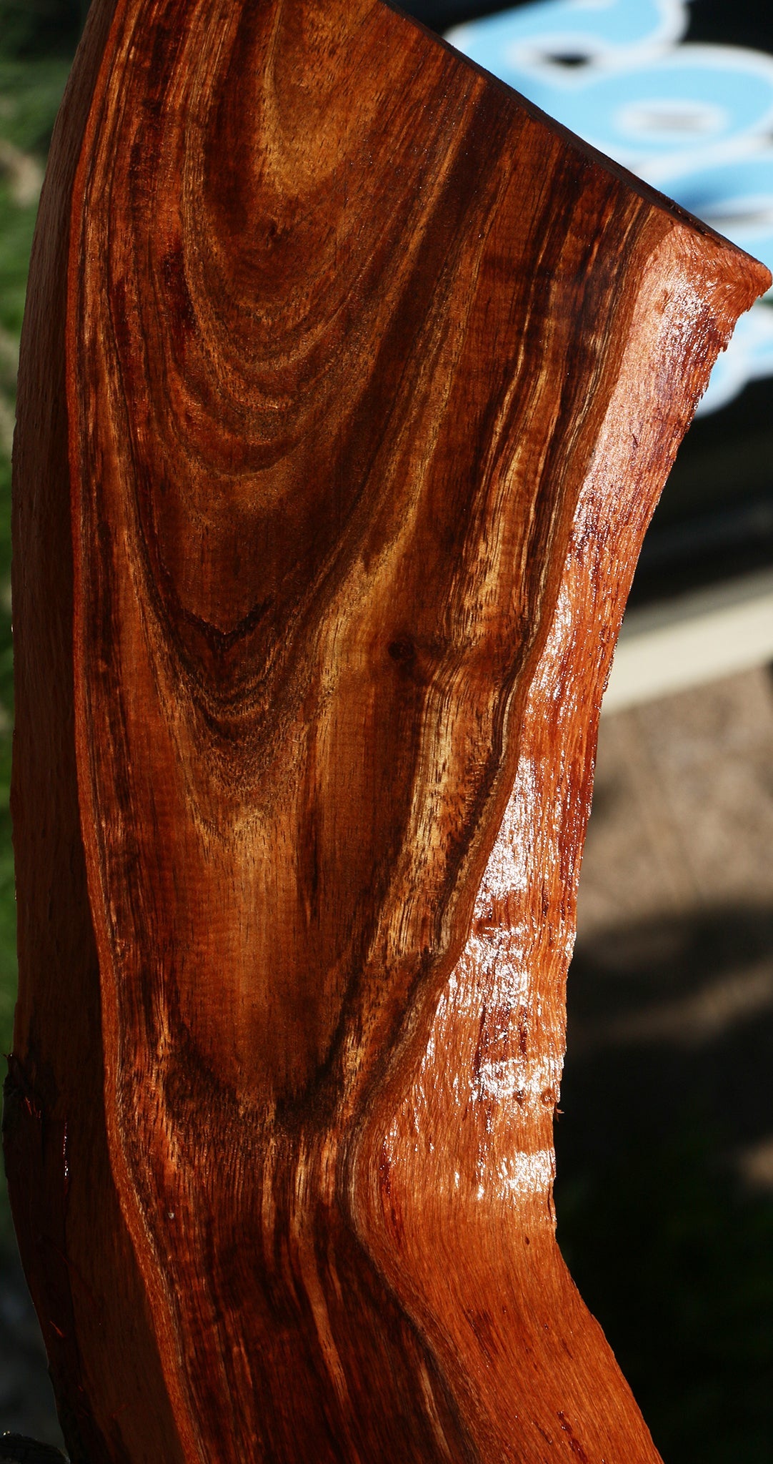 Figured Hawaiian Koa Live Edge Lumber