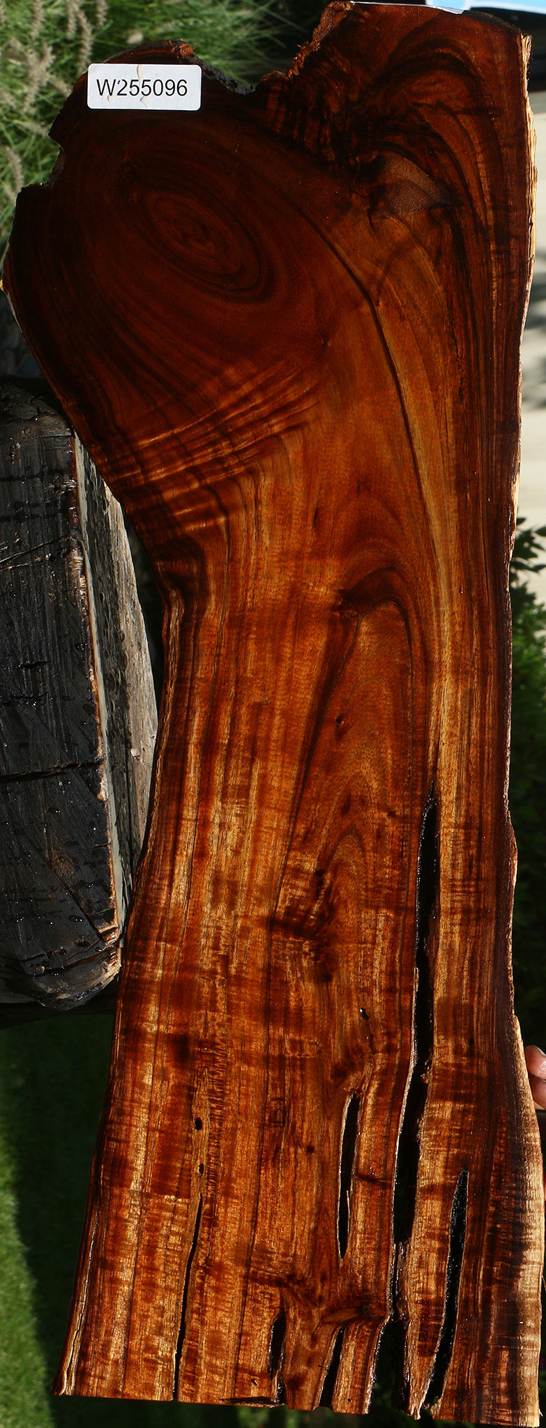 Extra Fancy Hawaiian Koa Live Edge Lumber