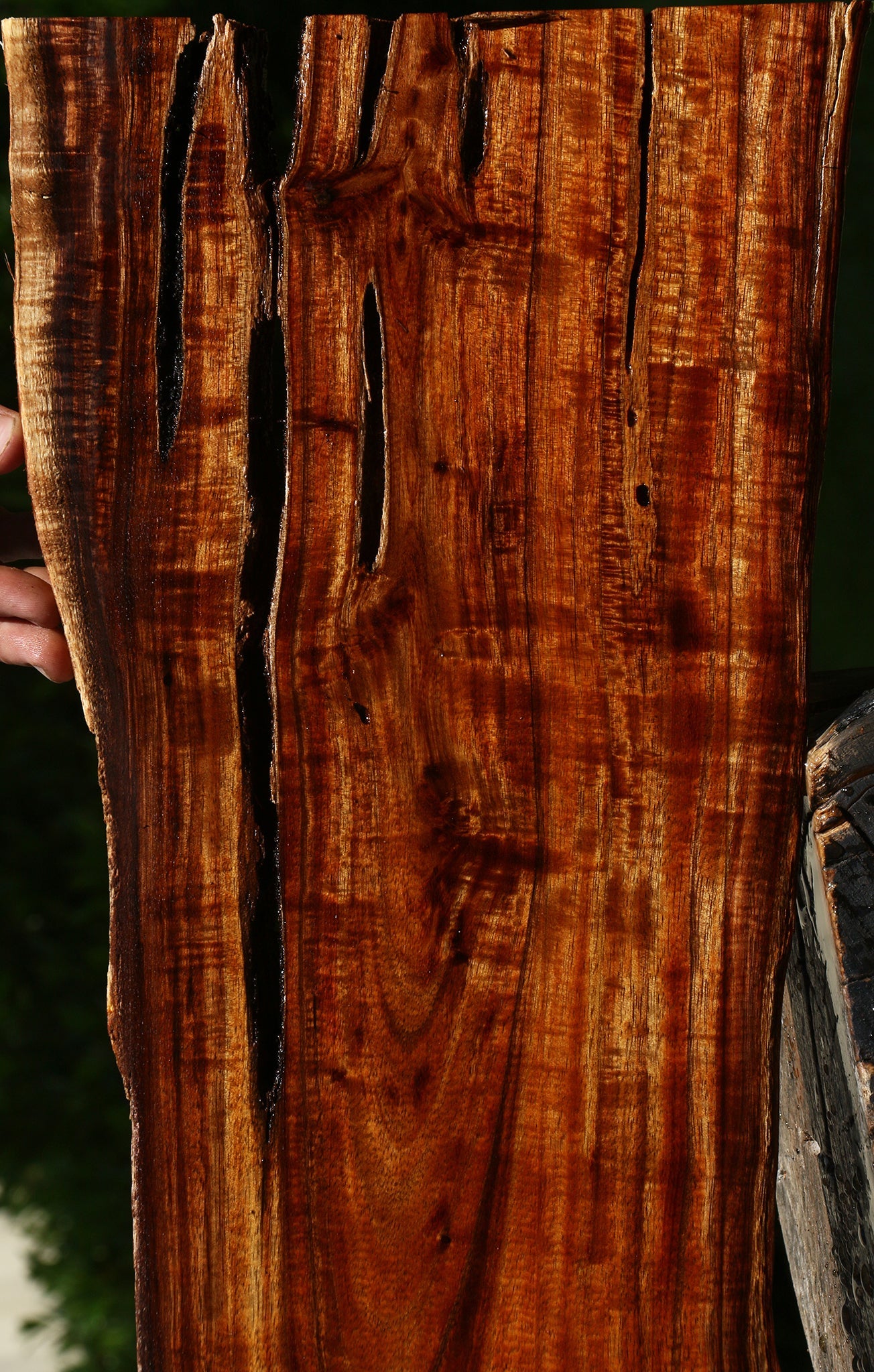 Extra Fancy Hawaiian Koa Live Edge Lumber