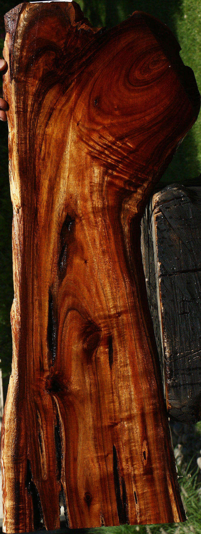 Extra Fancy Hawaiian Koa Live Edge Lumber