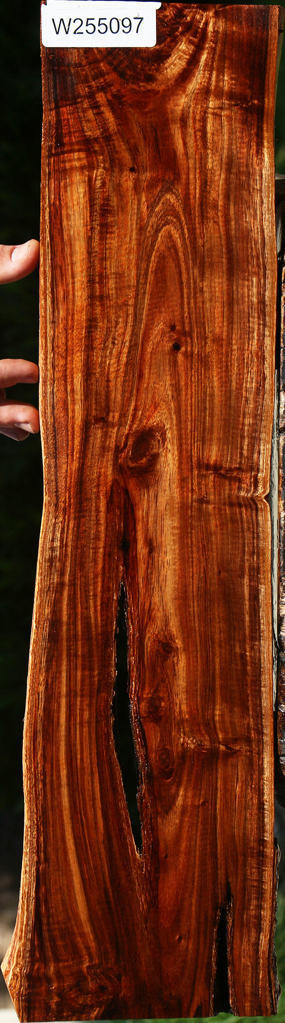 Extra Fancy Hawaiian Koa Live Edge Lumber