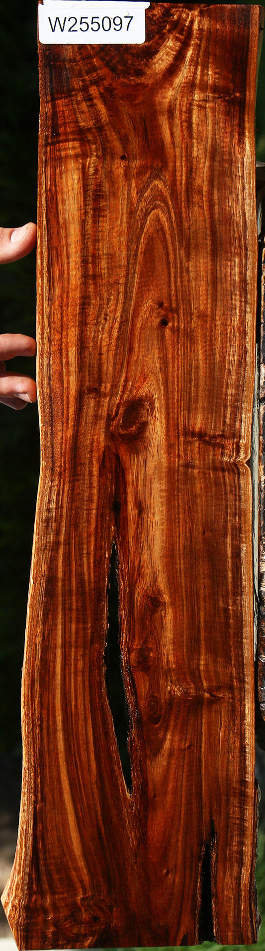 Extra Fancy Hawaiian Koa Live Edge Lumber