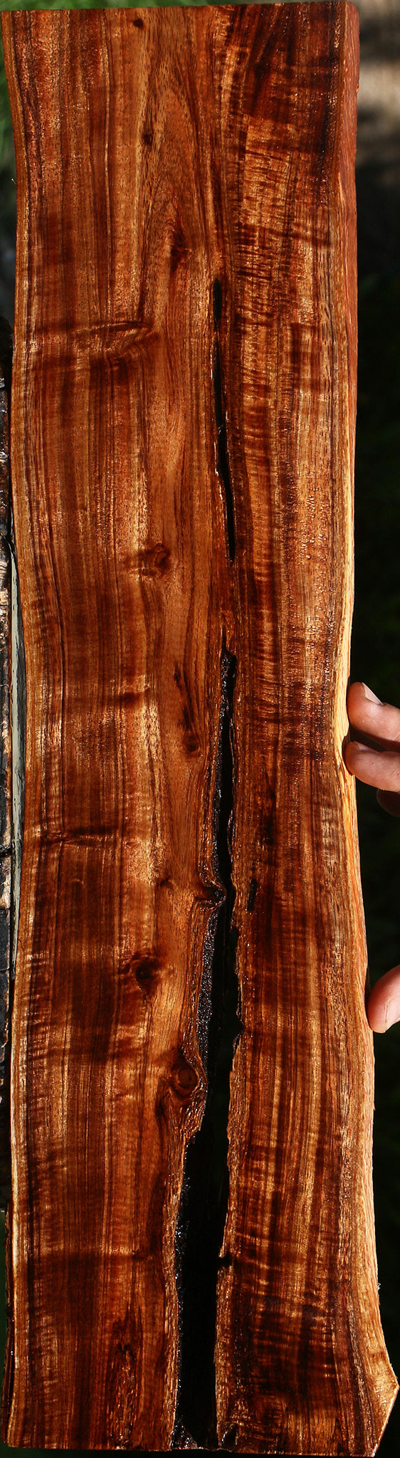 Extra Fancy Hawaiian Koa Live Edge Lumber