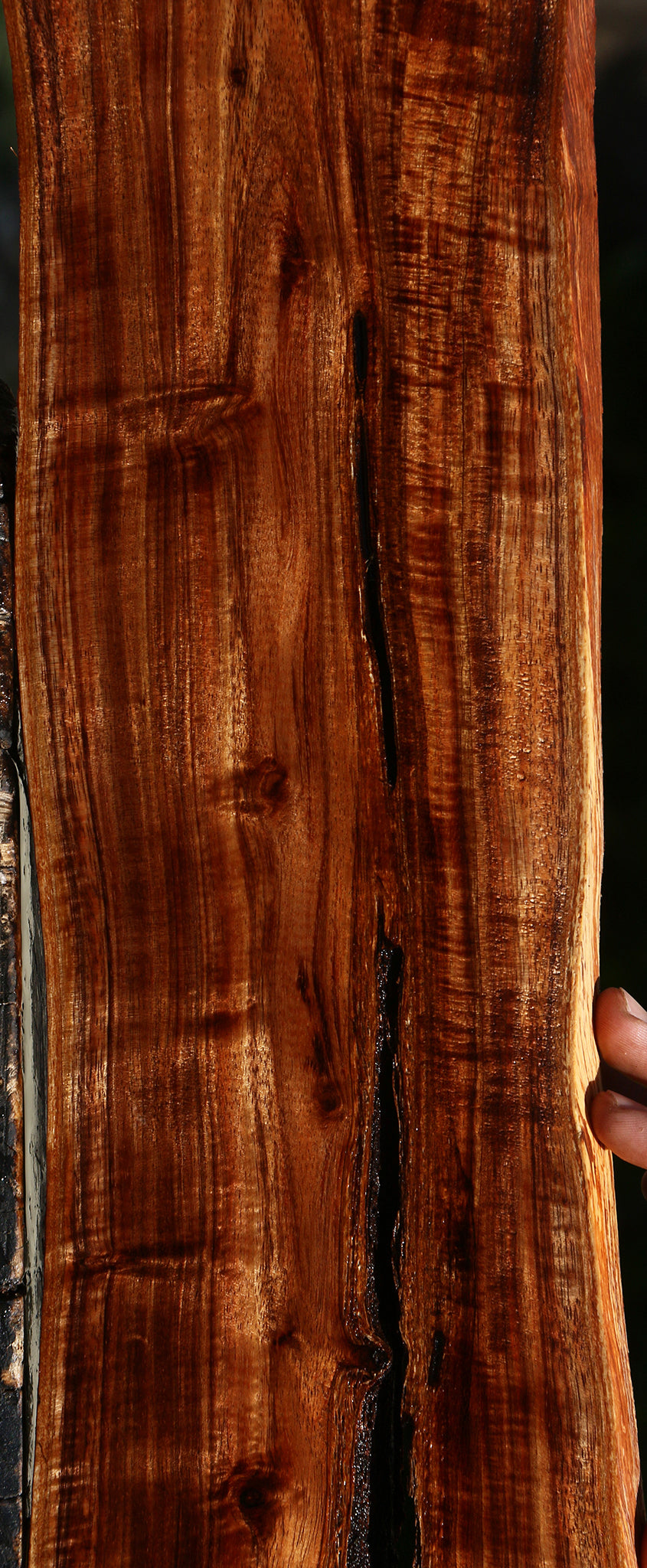 Extra Fancy Hawaiian Koa Live Edge Lumber