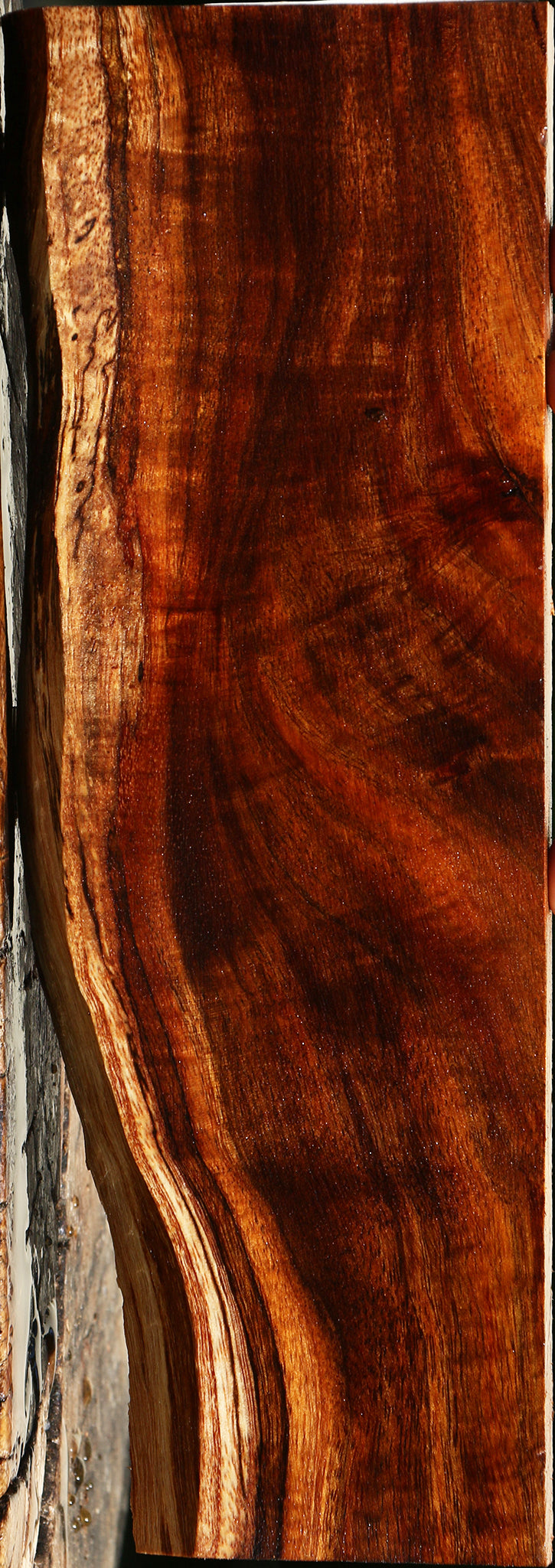 Extra Fancy Hawaiian Koa Live Edge Micro Lumber