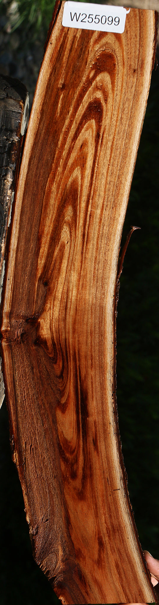 Rustic Hawaiian Koa Live Edge Lumber
