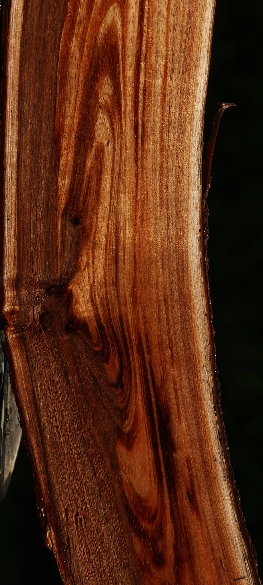 Rustic Hawaiian Koa Live Edge Lumber