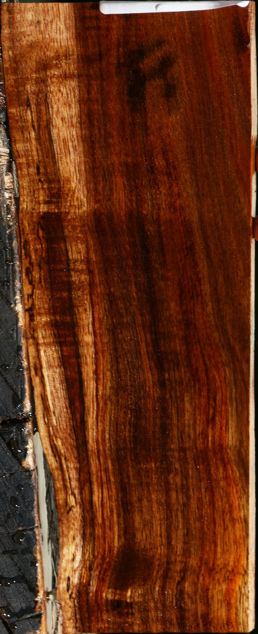 Extra Fancy Hawaiian Koa Live Edge Lumber