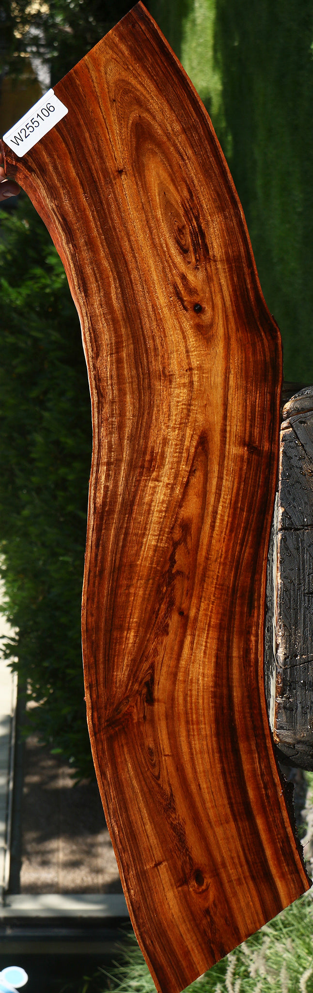 Extra Fancy Hawaiian Koa Live Edge Micro Lumber