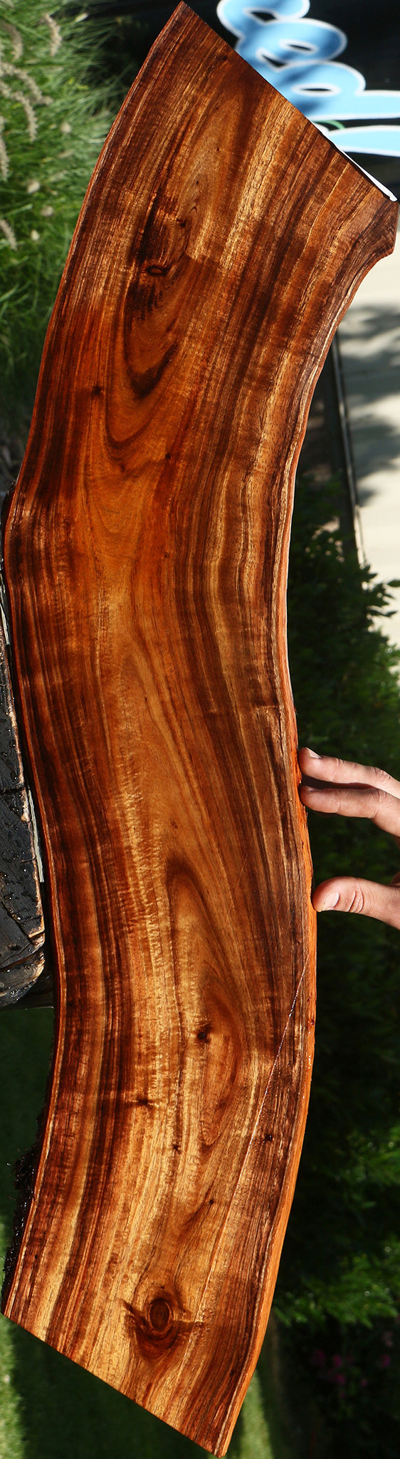 Extra Fancy Hawaiian Koa Live Edge Micro Lumber