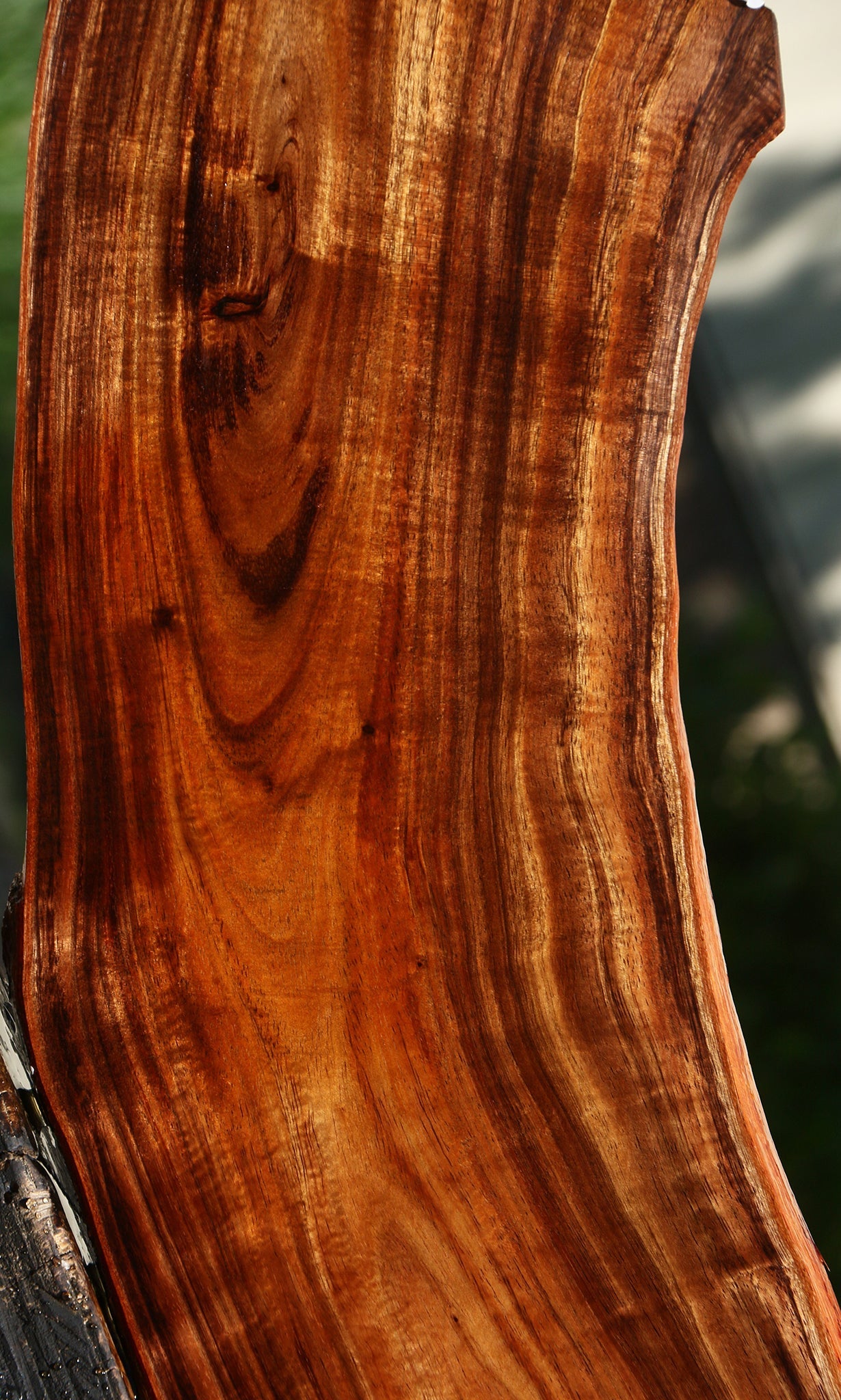 Extra Fancy Hawaiian Koa Live Edge Micro Lumber