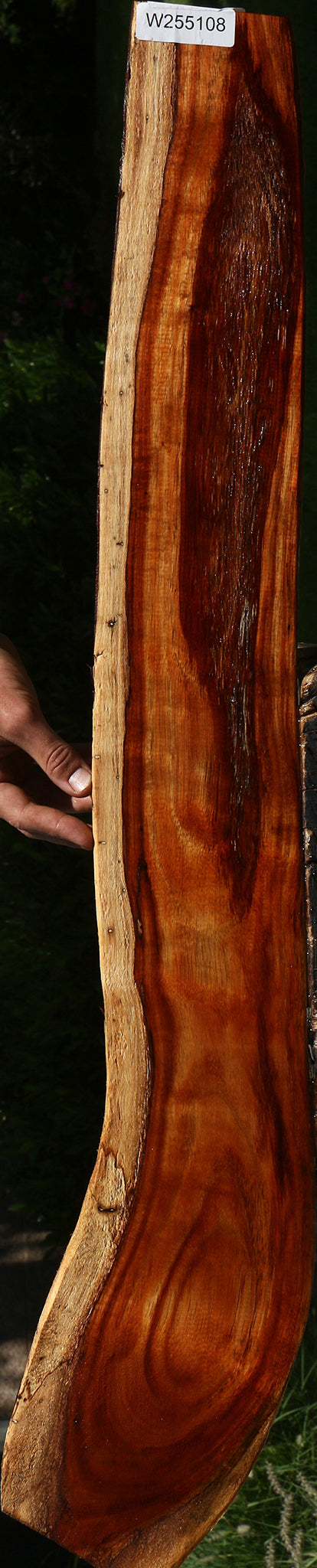 Rustic Hawaiian Koa Live Edge Lumber