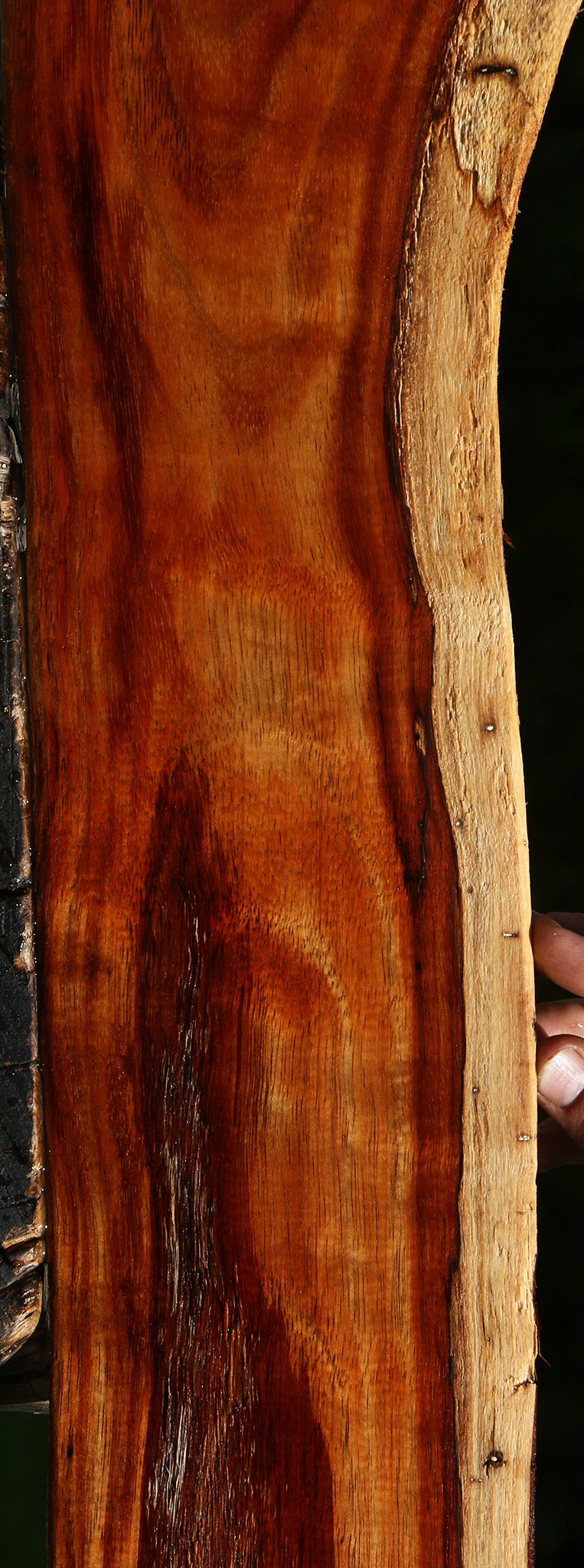 Rustic Hawaiian Koa Live Edge Lumber