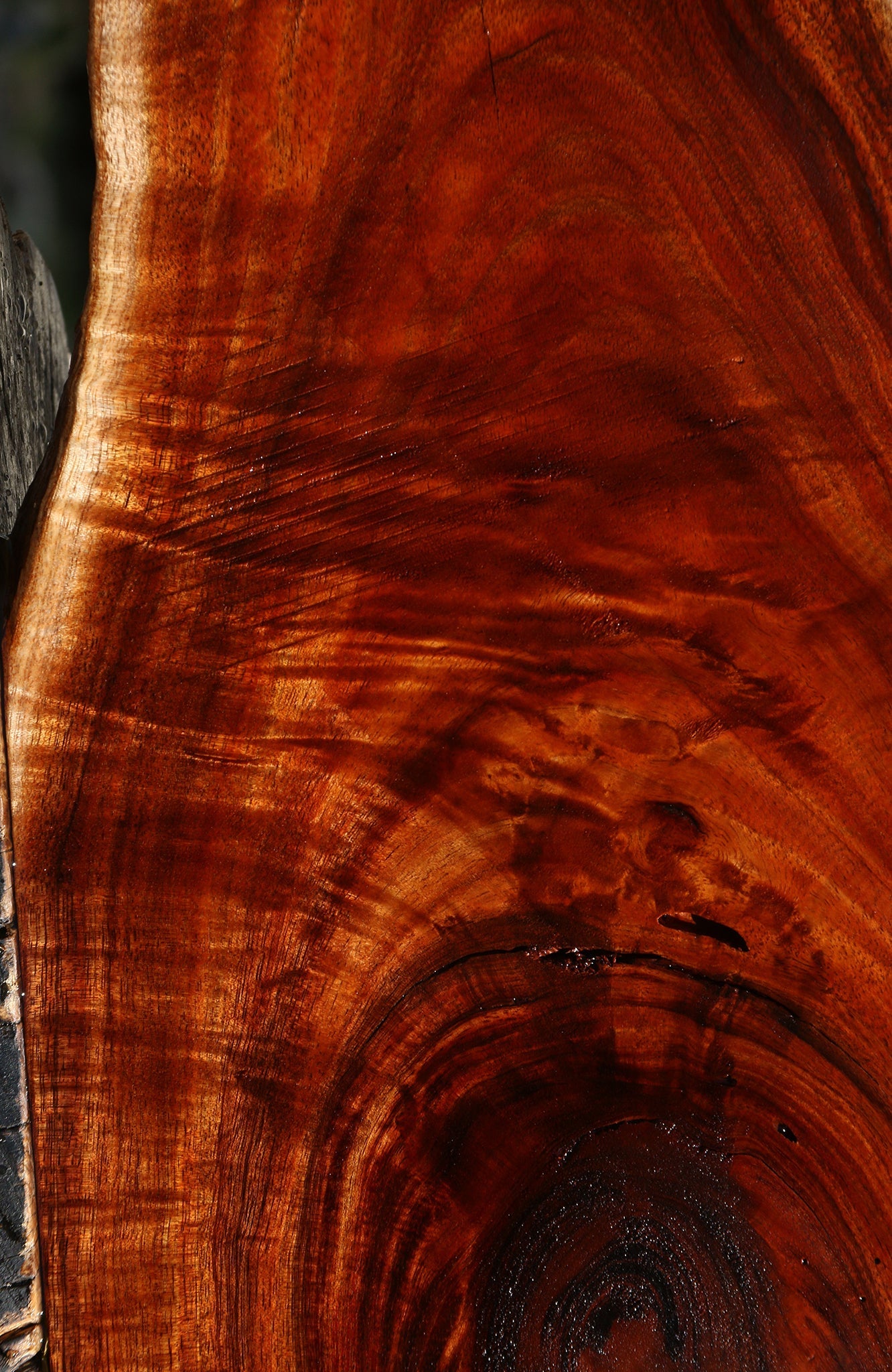 Extra Fancy Rustic Hawaiian Koa Lumber