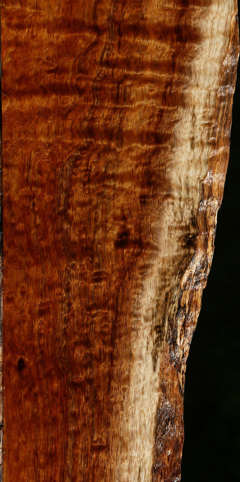 Extra Fancy Quartersawn Hawaiian Koa Live Edge Micro Lumber
