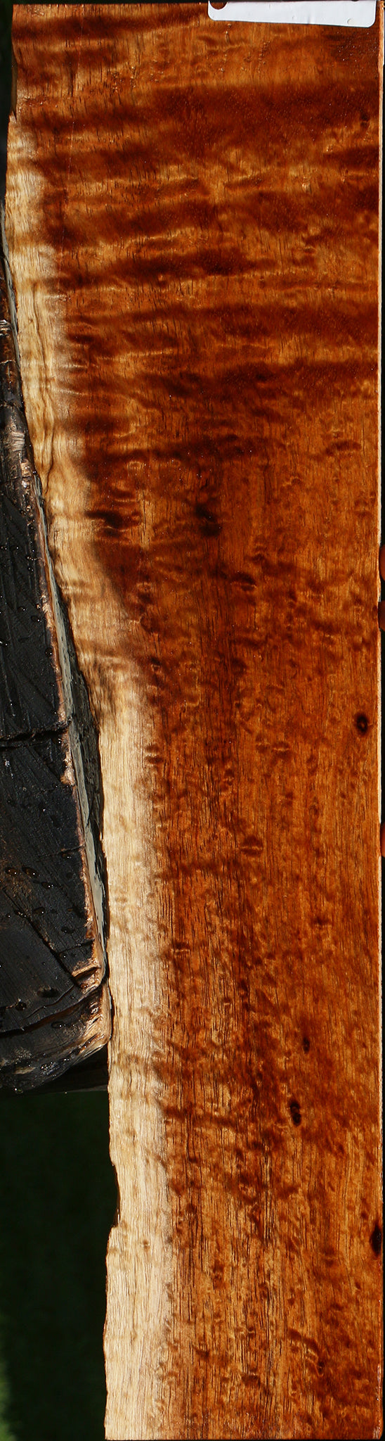 Extra Fancy Quartersawn Hawaiian Koa Live Edge Micro Lumber