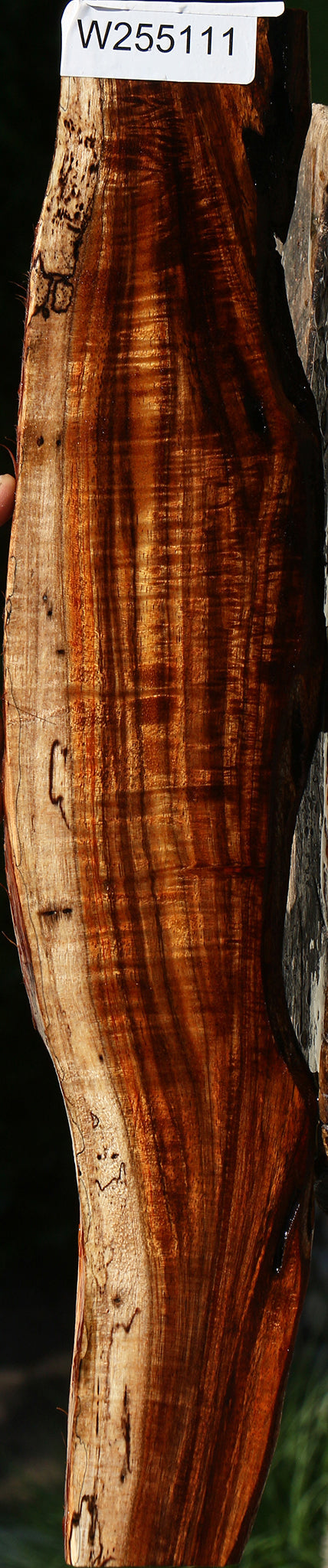 Exhibition Hawaiian Koa Live Edge Lumber