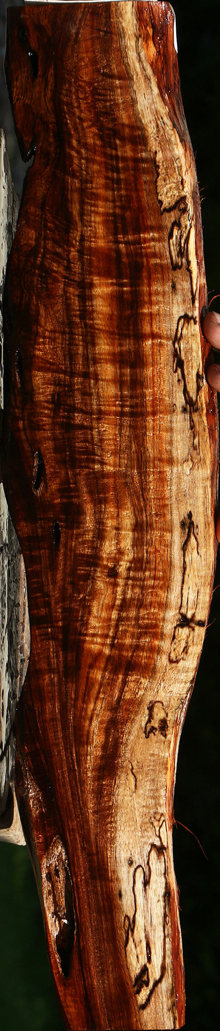 Exhibition Hawaiian Koa Live Edge Lumber