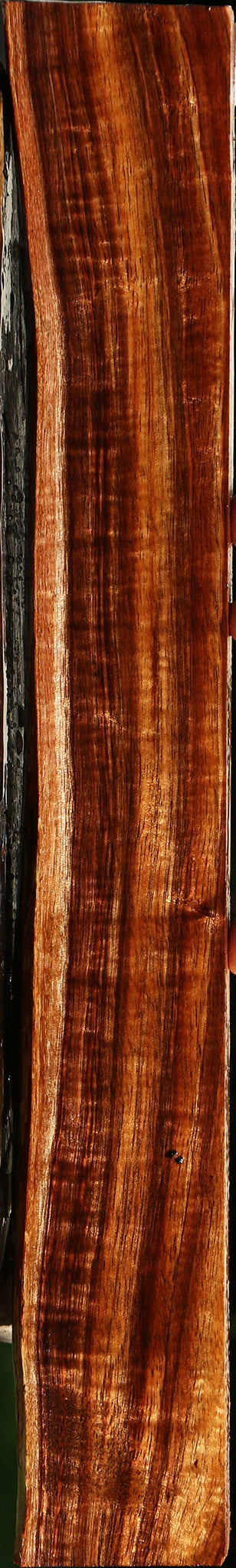 Extra Fancy Hawaiian Koa Live Edge Lumber