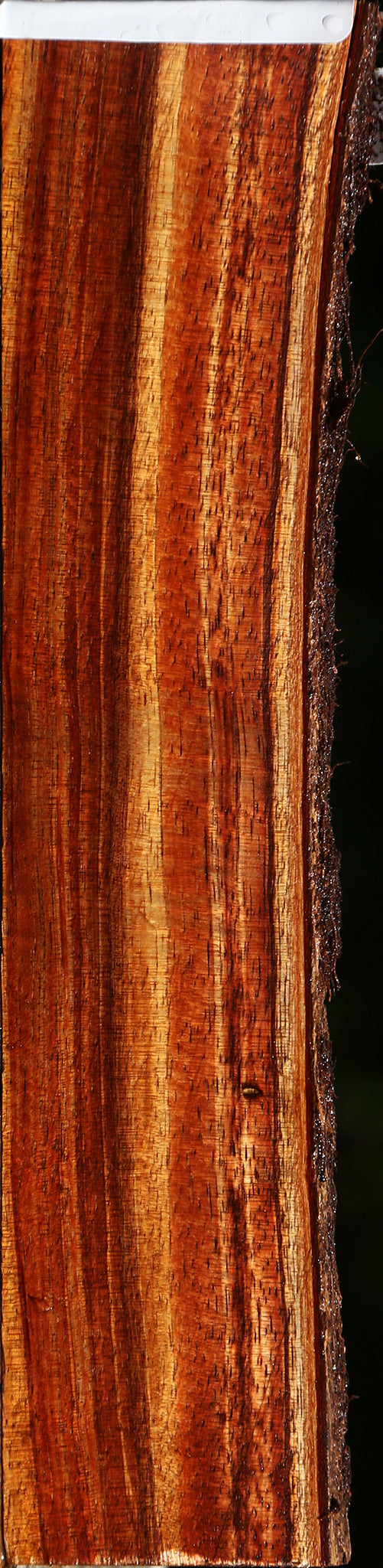Figured Hawaiian Koa Live Edge Micro Lumber