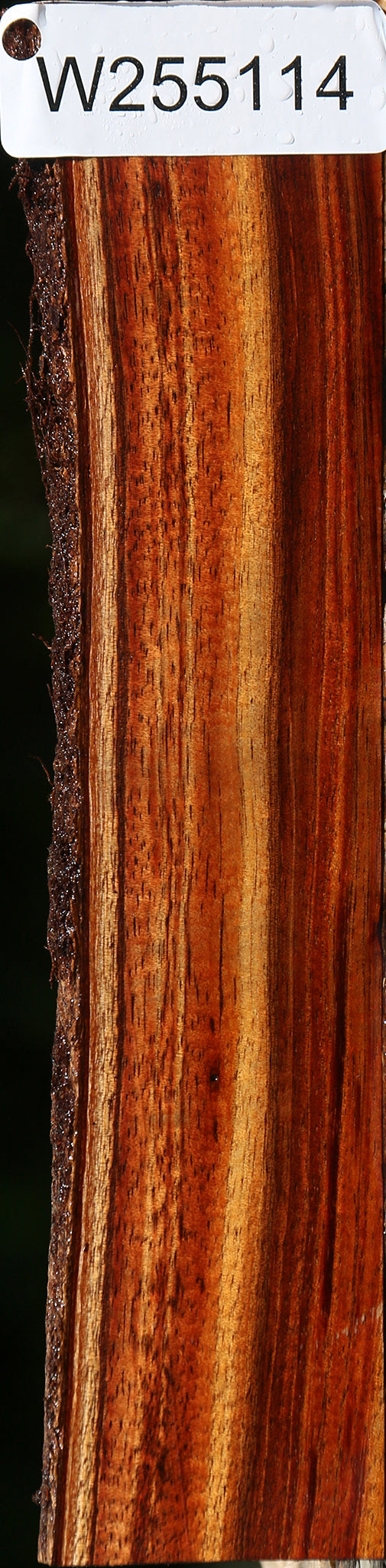 Figured Hawaiian Koa Live Edge Micro Lumber