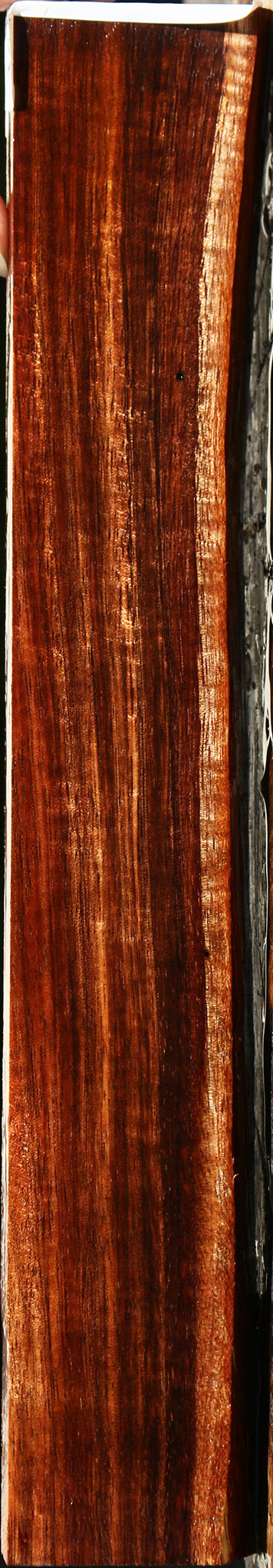 Extra Fancy Hawaiian Koa Live Edge Lumber