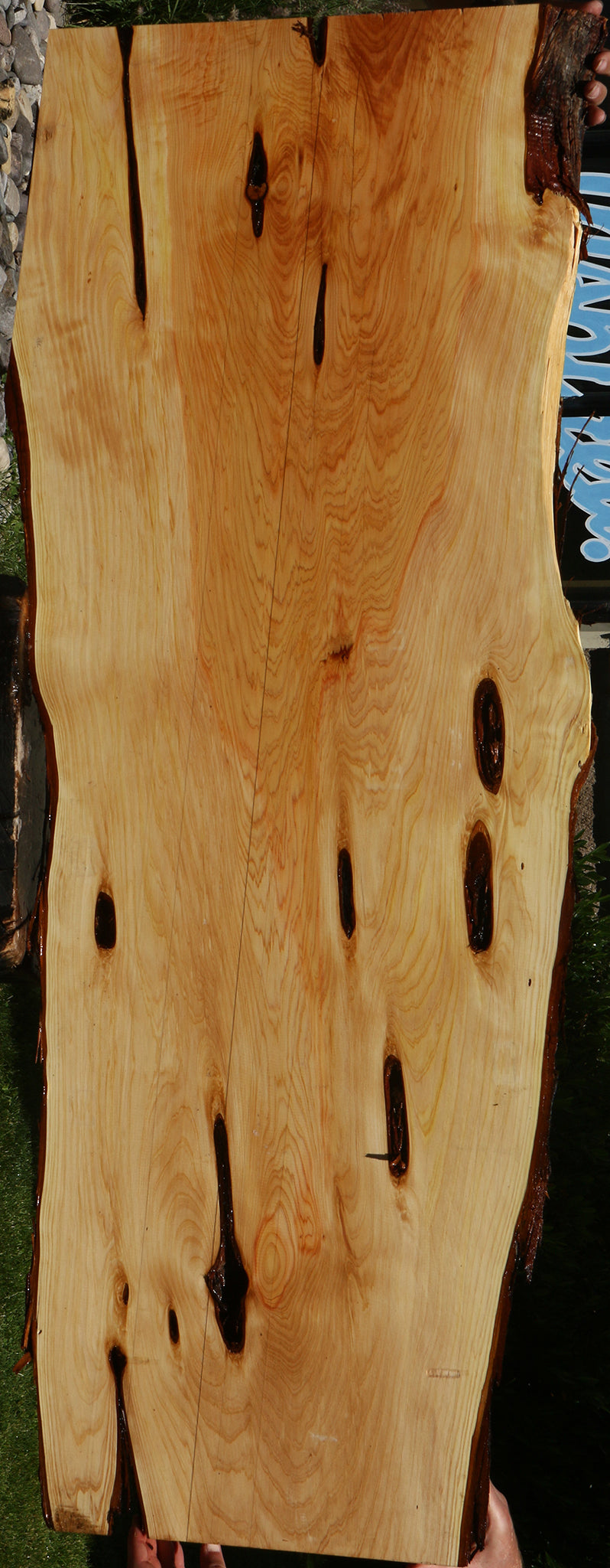 Juniper Live Edge Slab