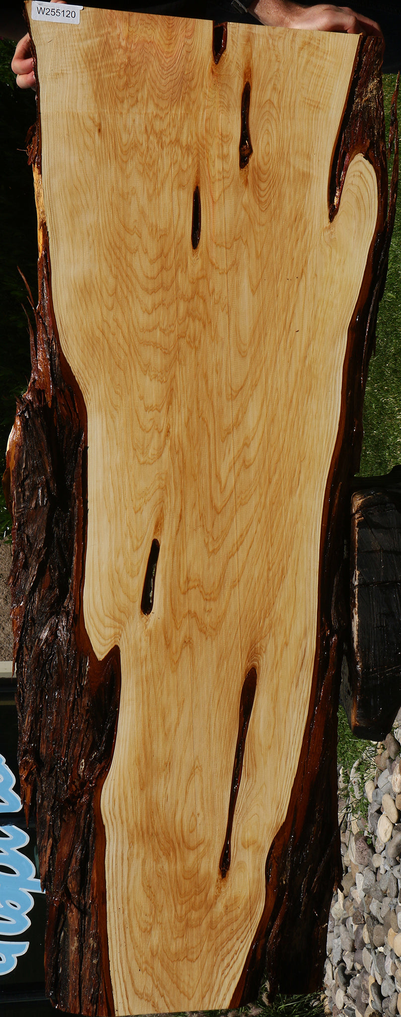 Juniper Live Edge Slab