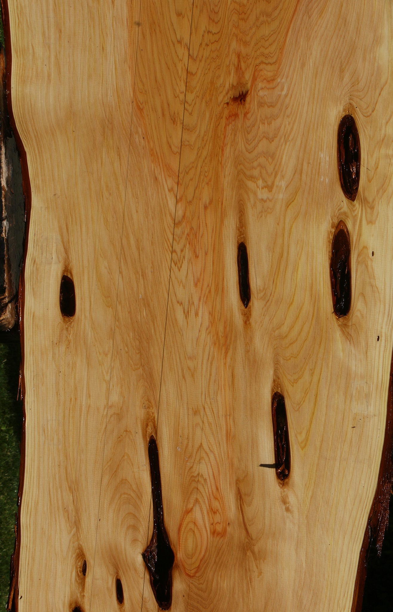 Juniper Live Edge Slab