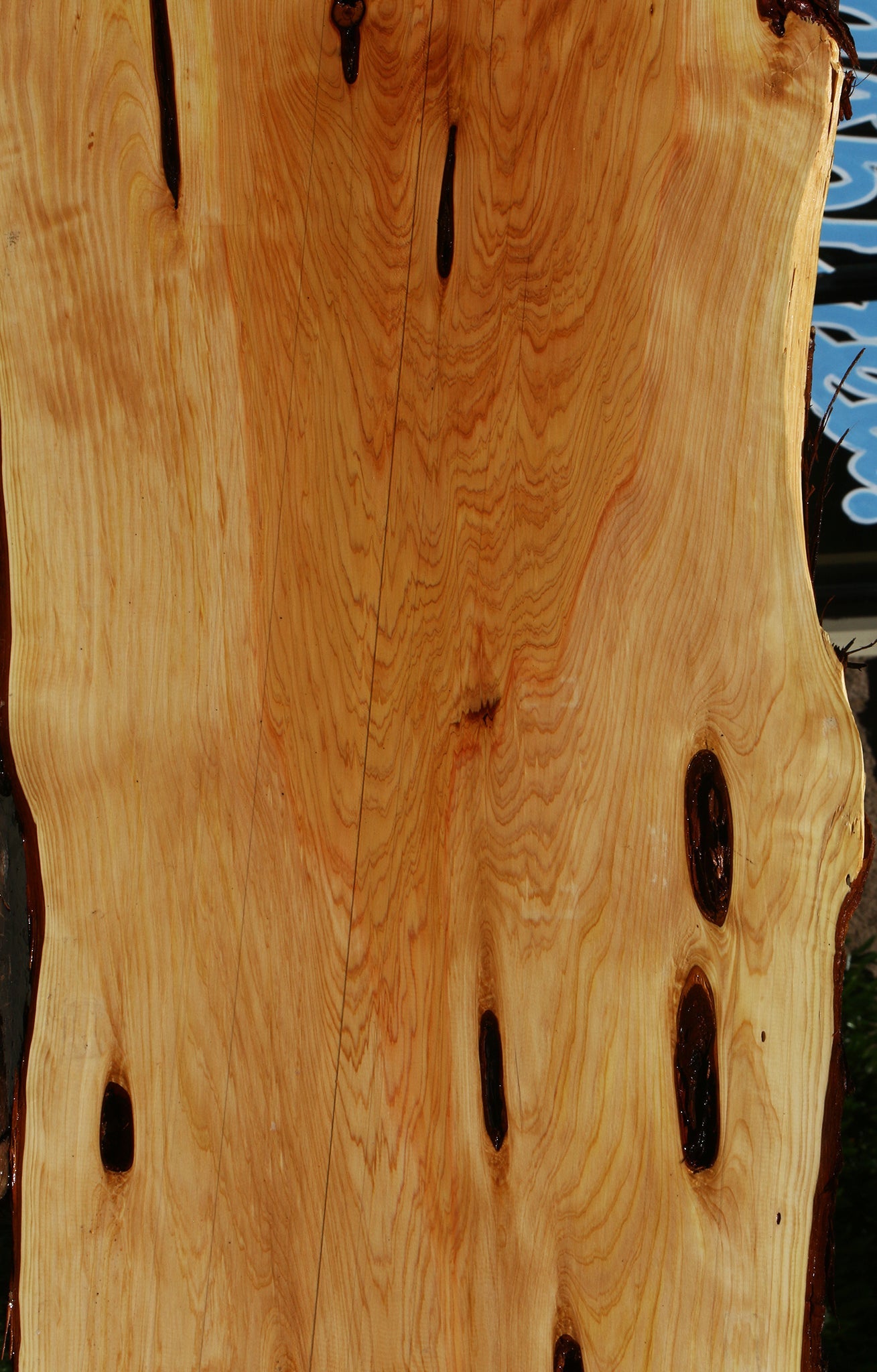 Juniper Live Edge Slab