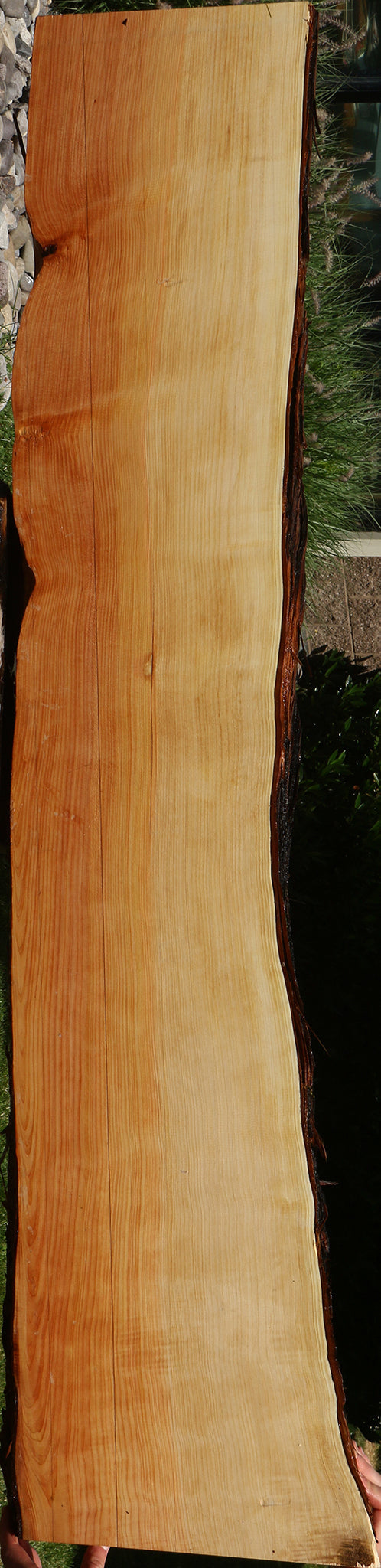 Juniper Live Edge Slab