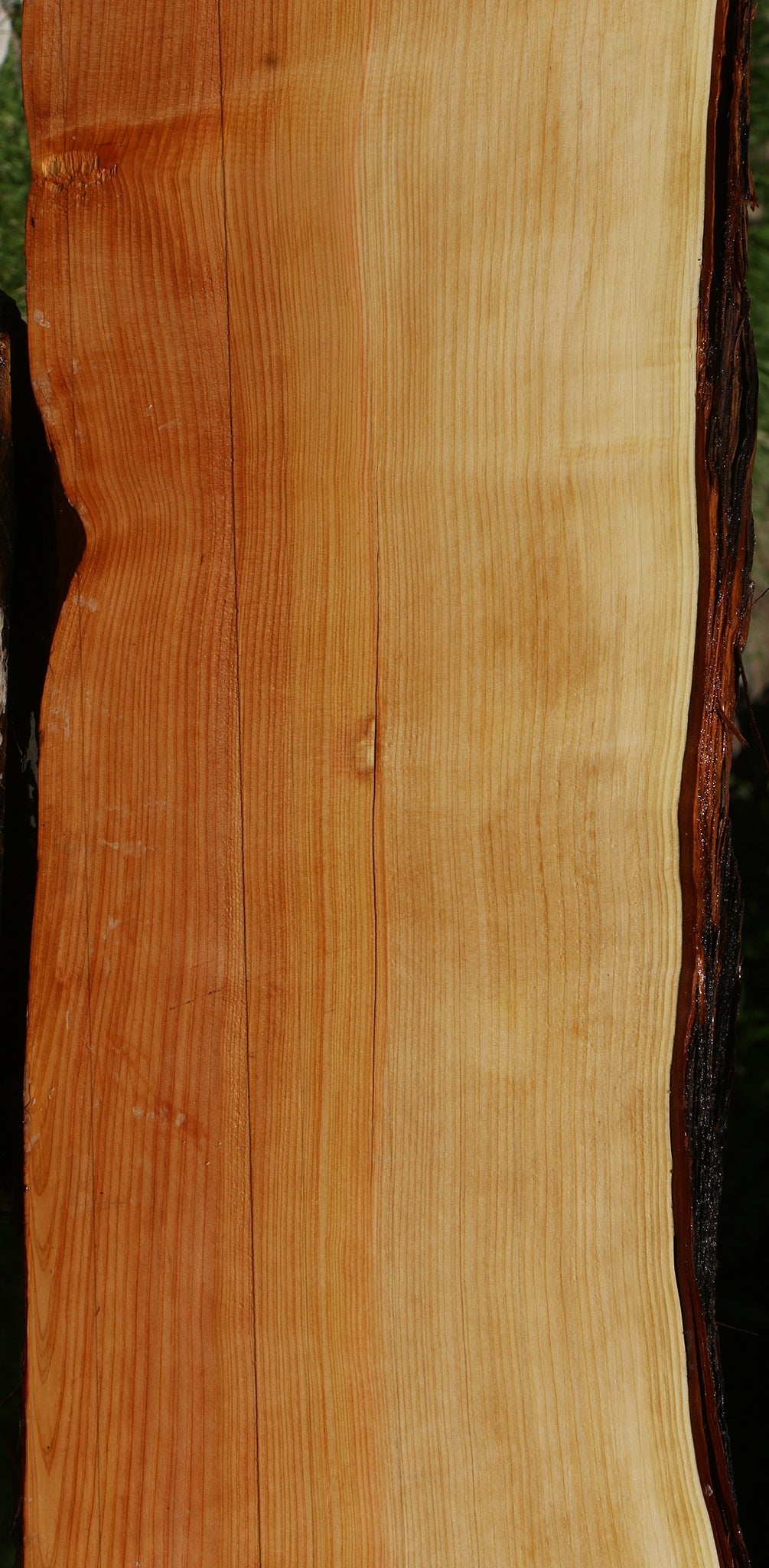 Juniper Live Edge Slab