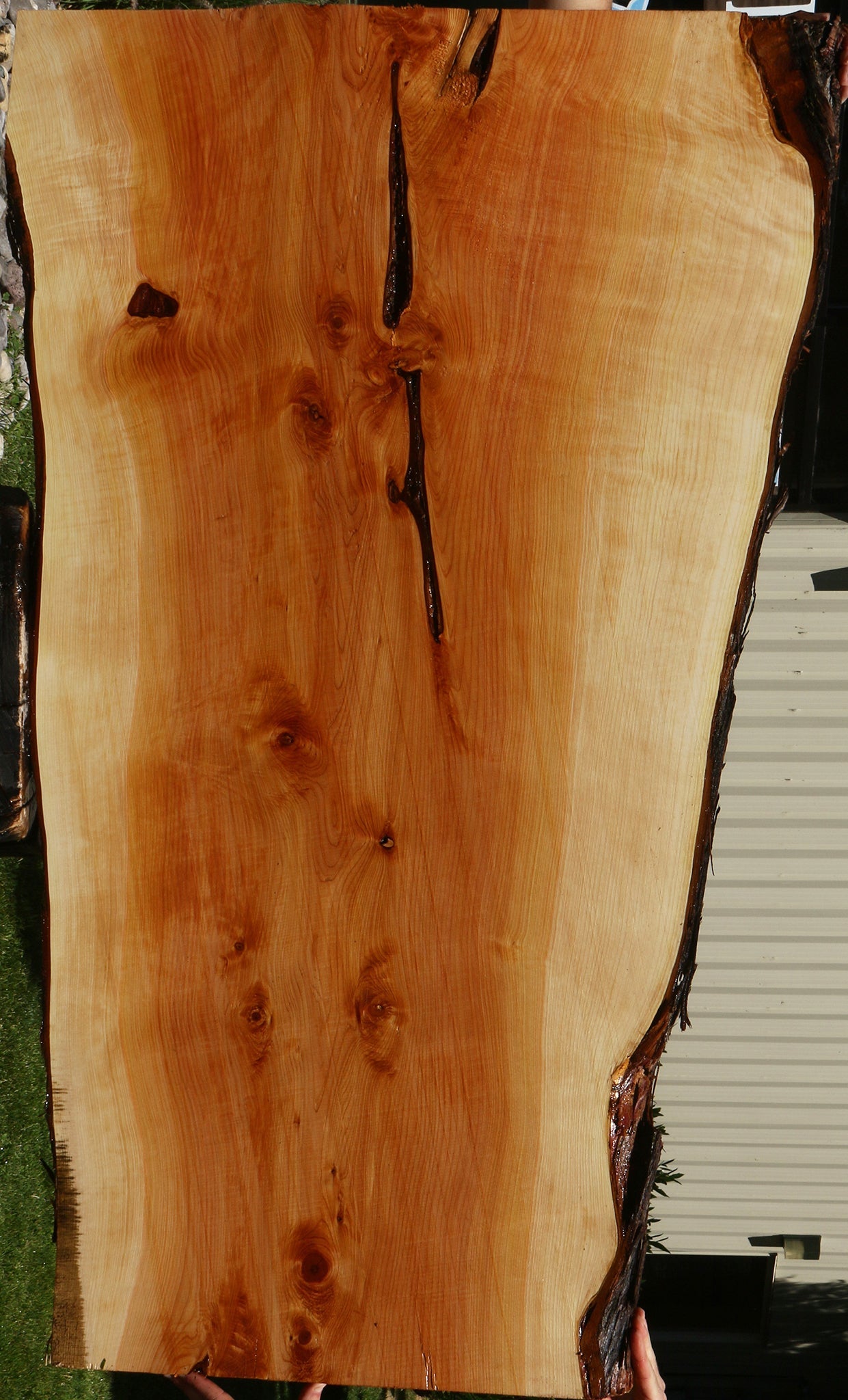 Juniper Live Edge Slab