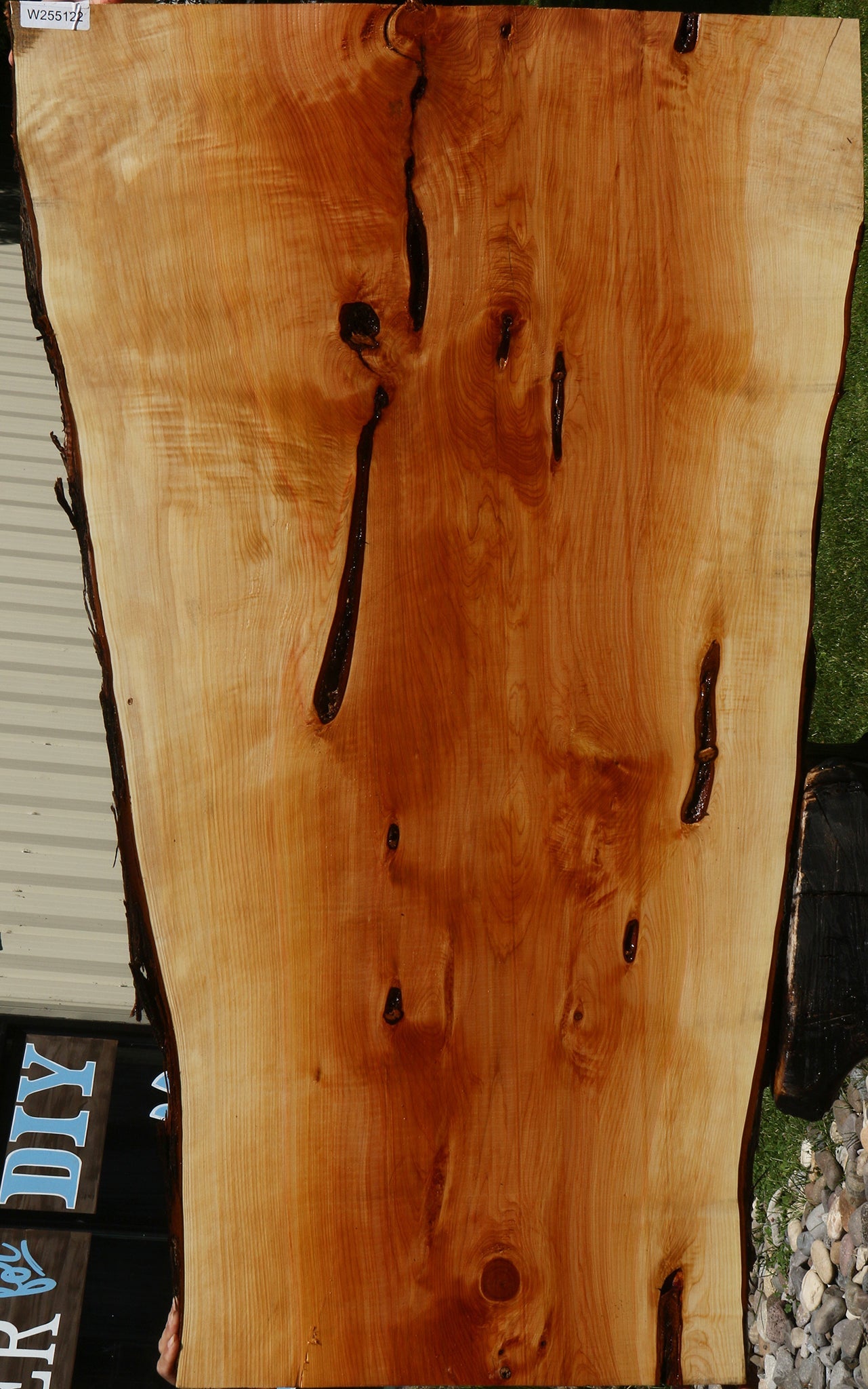 Juniper Live Edge Slab