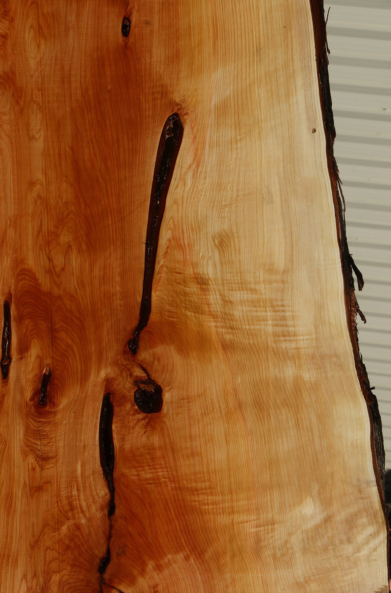 Juniper Live Edge Slab
