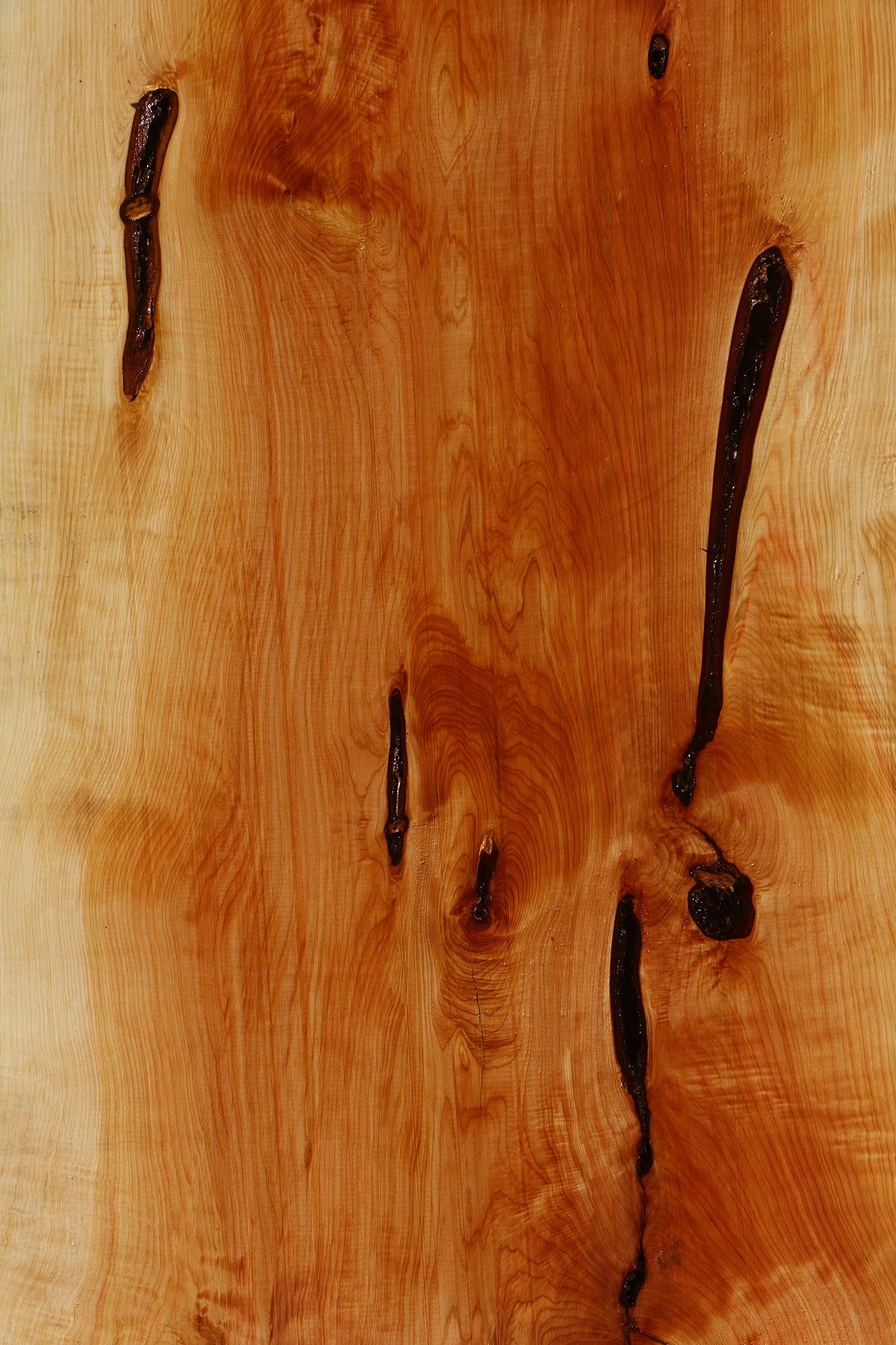 Juniper Live Edge Slab