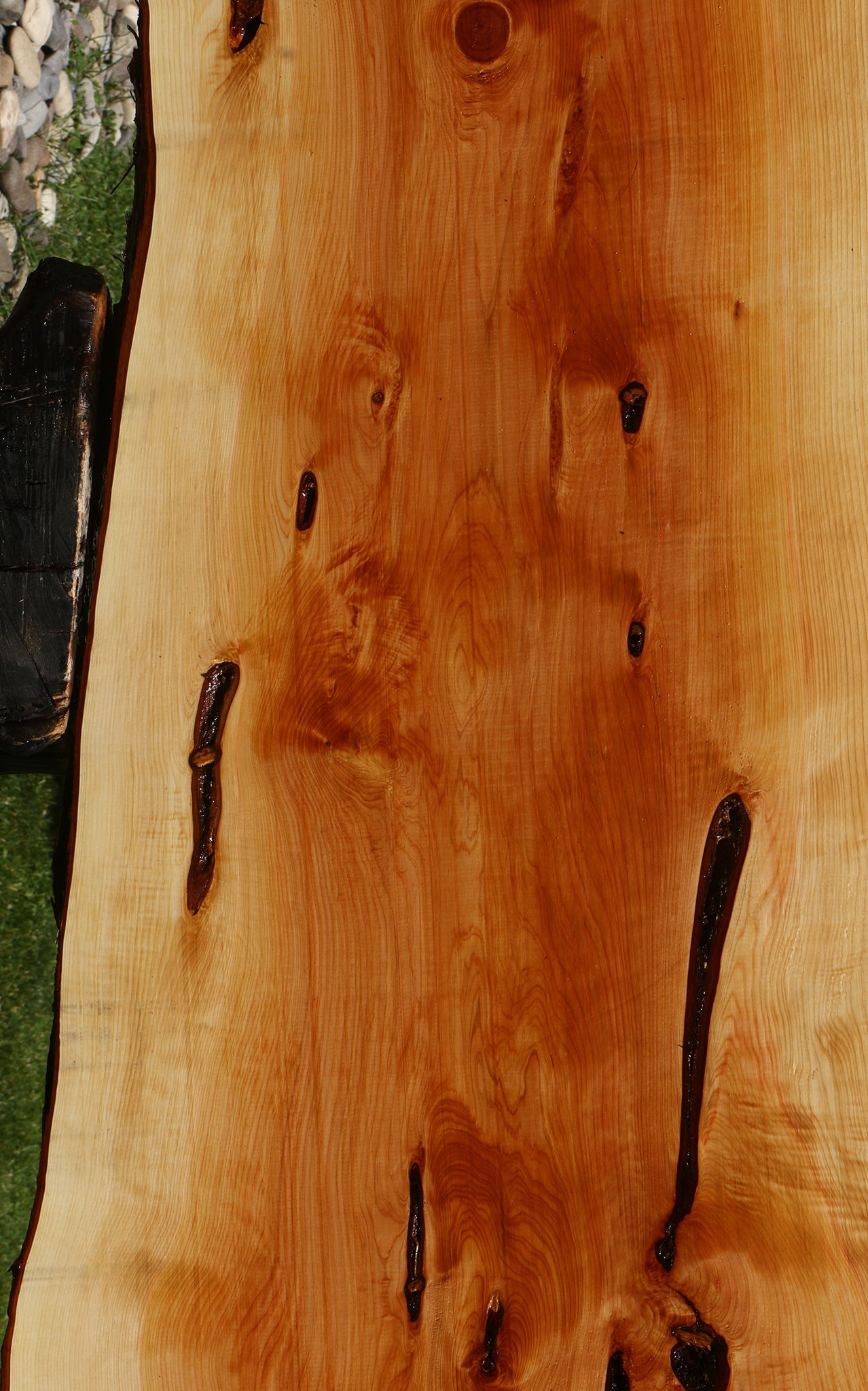 Juniper Live Edge Slab