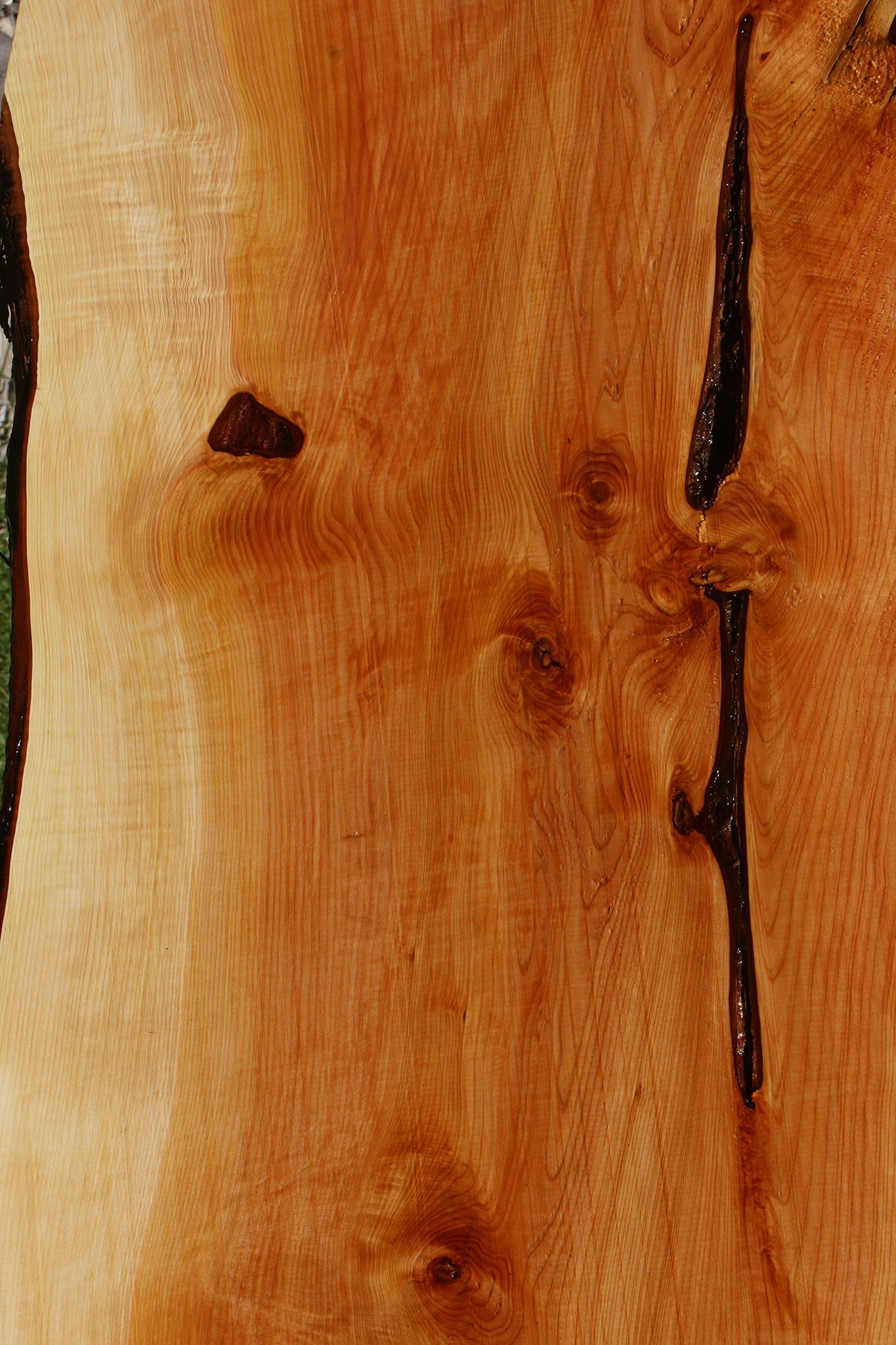 Juniper Live Edge Slab