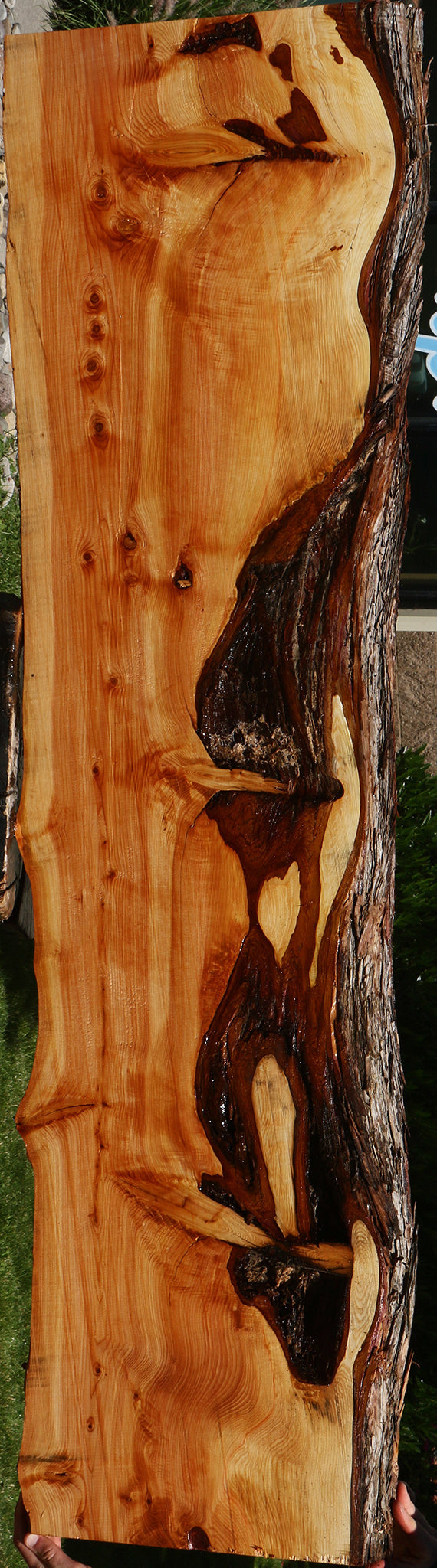 Juniper Live Edge Slab