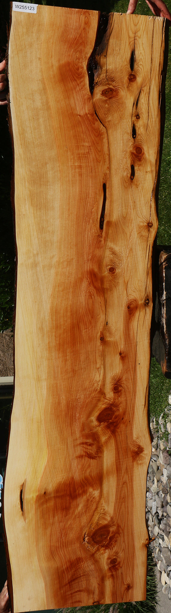 Juniper Live Edge Slab