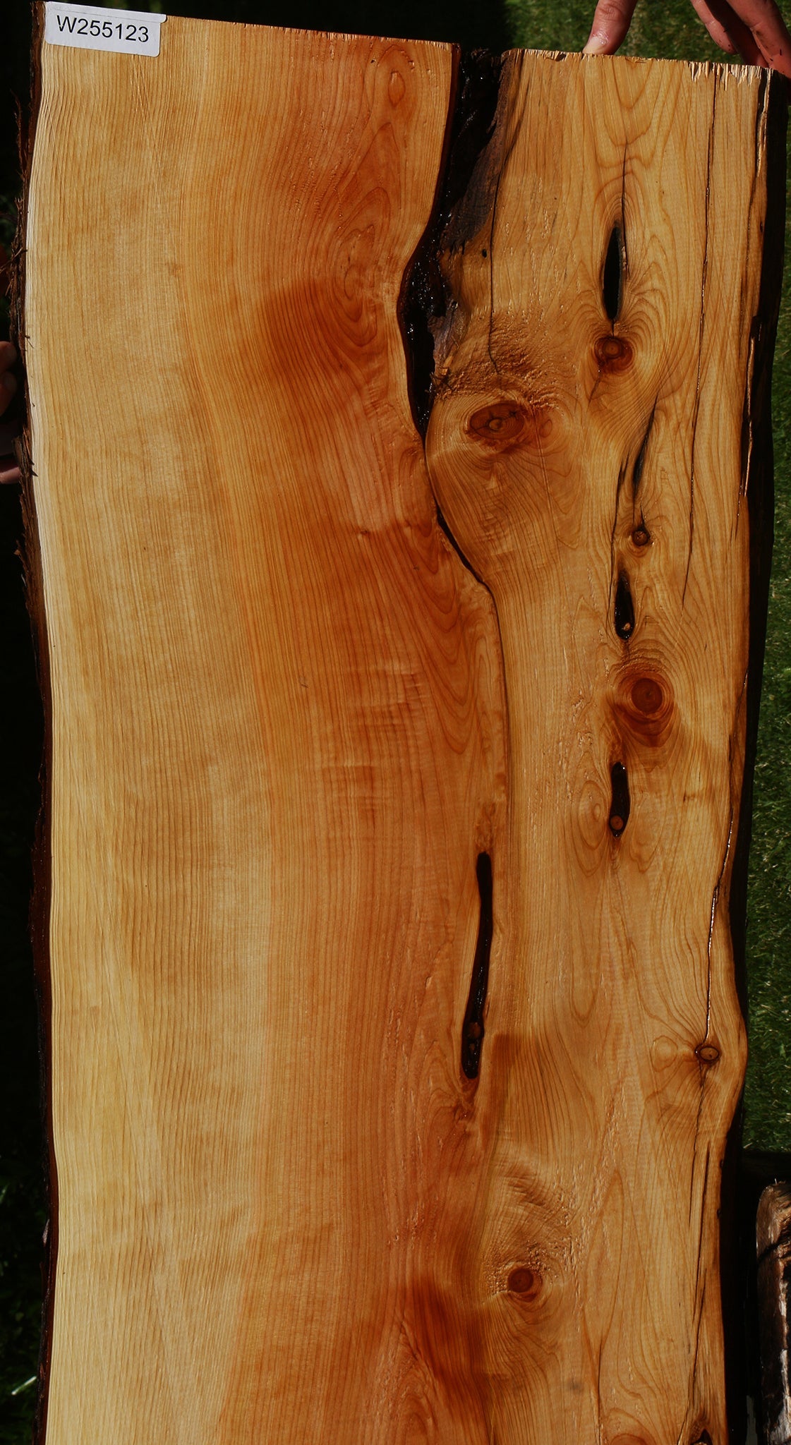Juniper Live Edge Slab